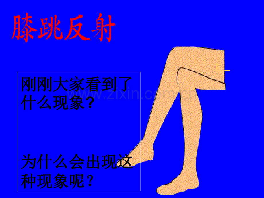 人教版神经调节的基本方式.ppt_第2页