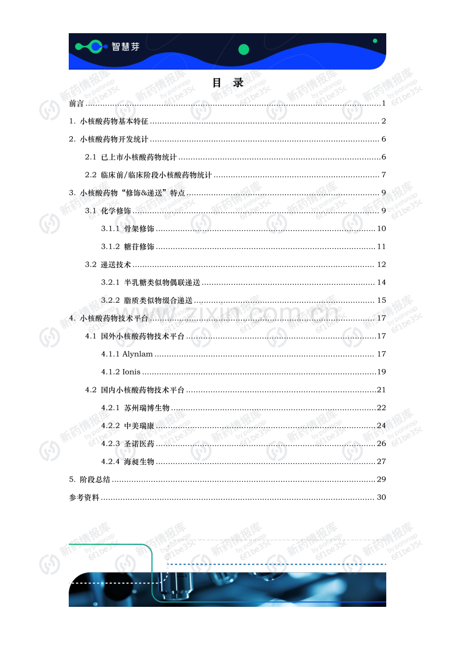 2024年小核酸药物研发进展及技术平台调研报告.pdf_第2页