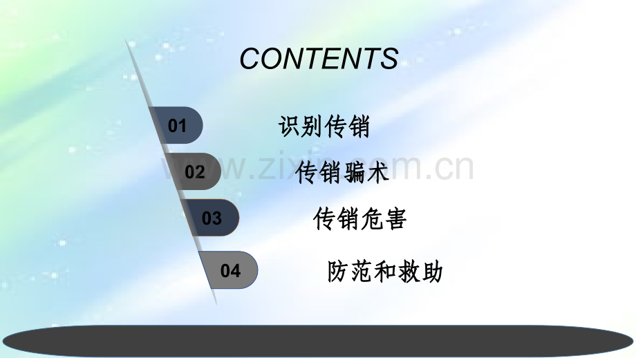 传销演示文稿.ppt_第2页