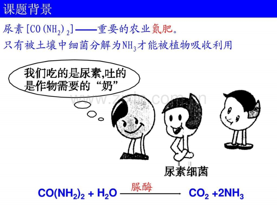 课题2-土壤中分解尿素的细菌的分离与计数.pptx_第1页