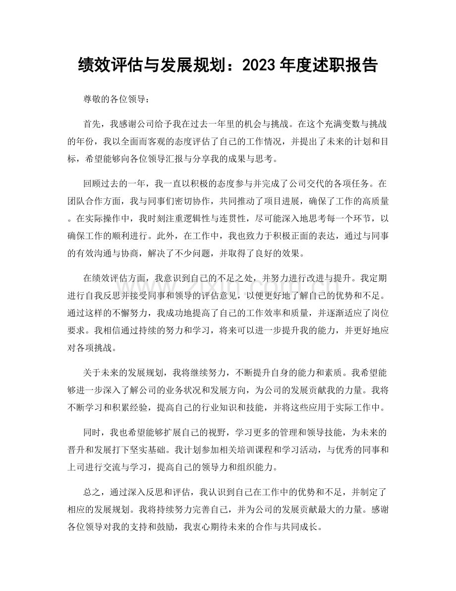 绩效评估与发展规划：2023年度述职报告.docx_第1页