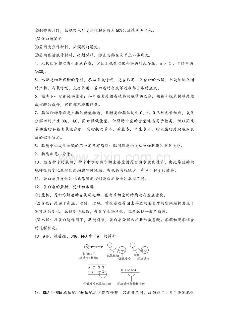 高中生物必修一易错点.doc_第2页