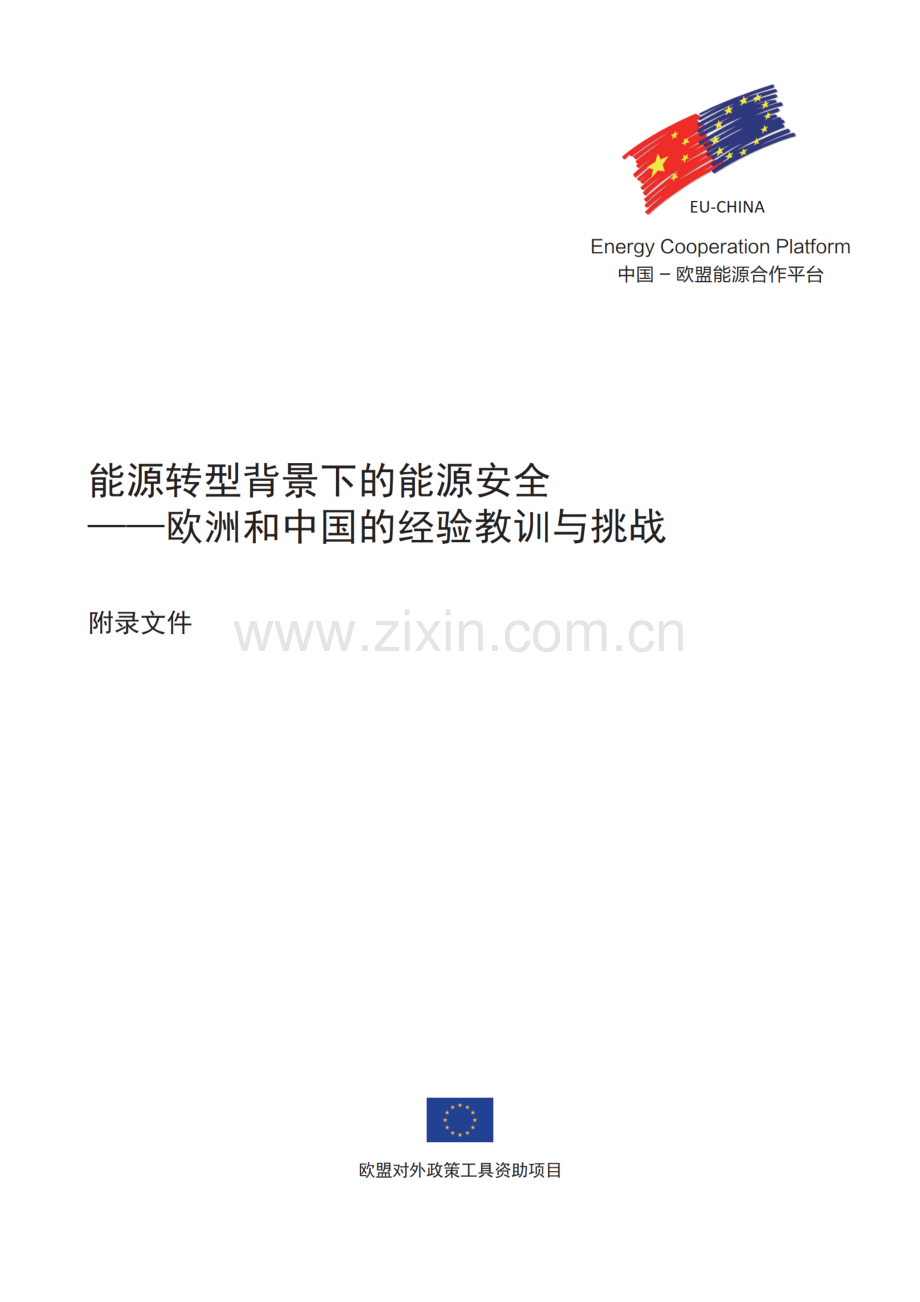 能源转型背景下的能源安全—欧洲和中国的经验教训与挑战（附录文件）.pdf_第1页