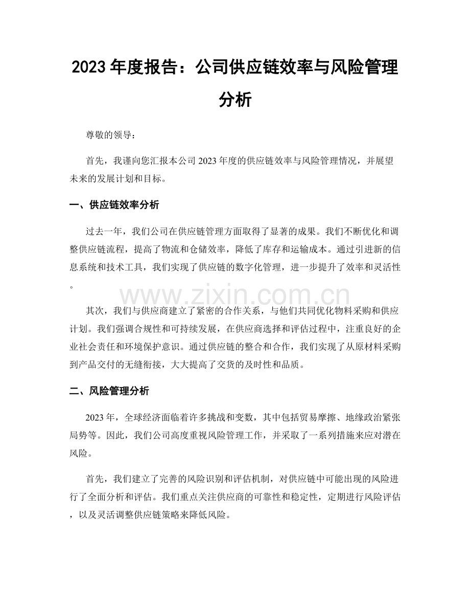 2023年度报告：公司供应链效率与风险管理分析.docx_第1页