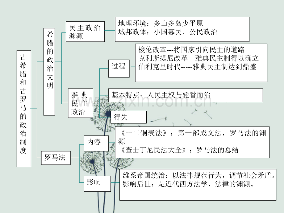 高三历史总复习古希腊和古罗马的政治制度.ppt_第2页