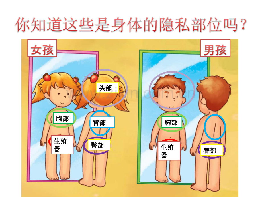 小学防性侵安全教育.pptx_第2页