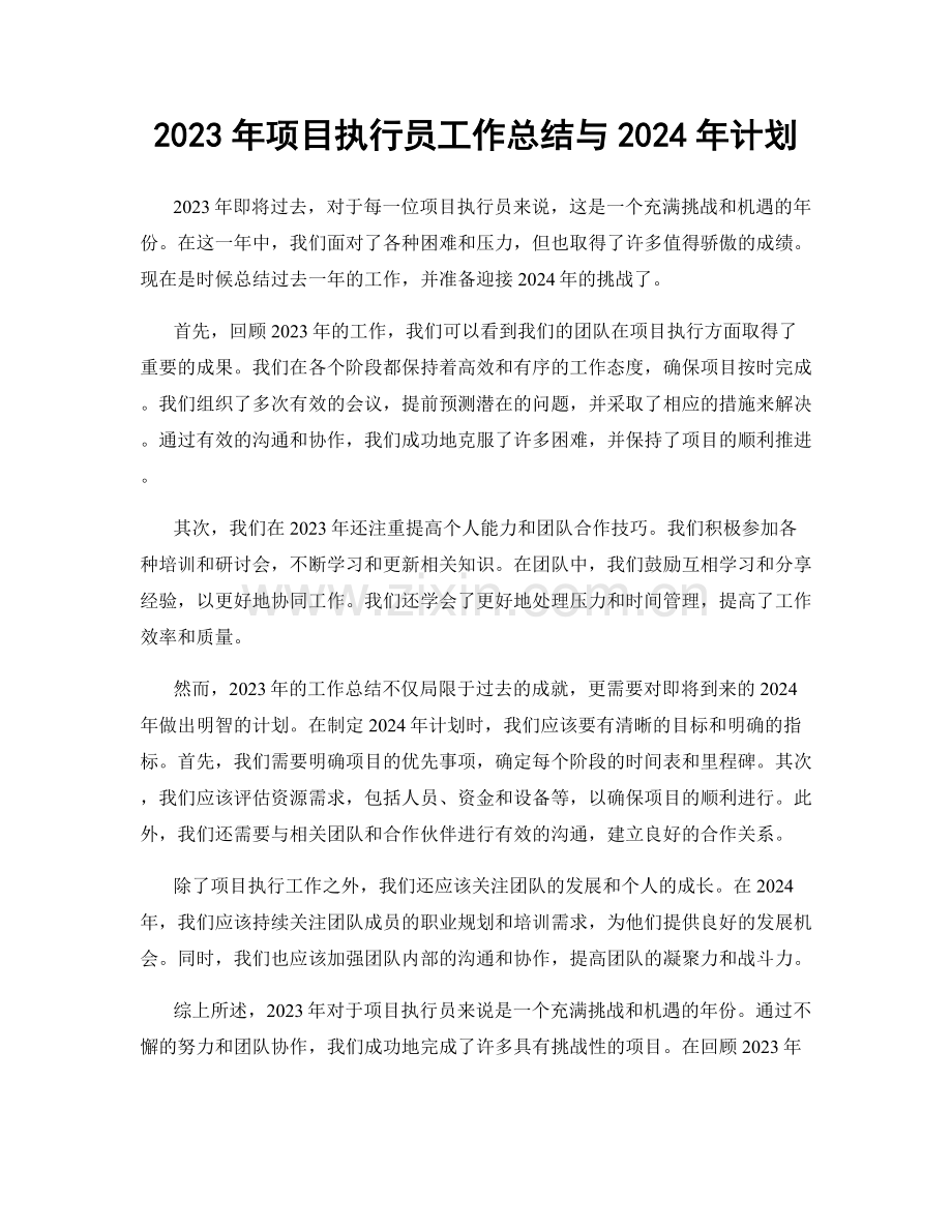 2023年项目执行员工作总结与2024年计划.docx_第1页