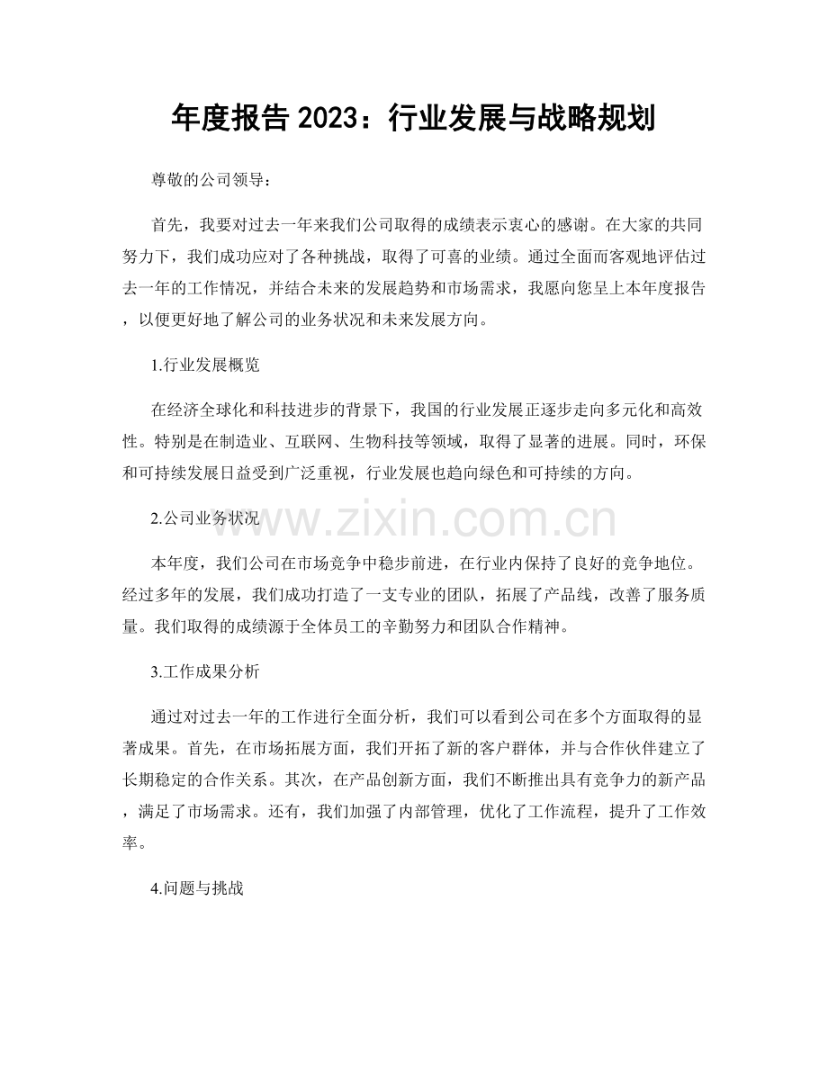 年度报告2023：行业发展与战略规划.docx_第1页