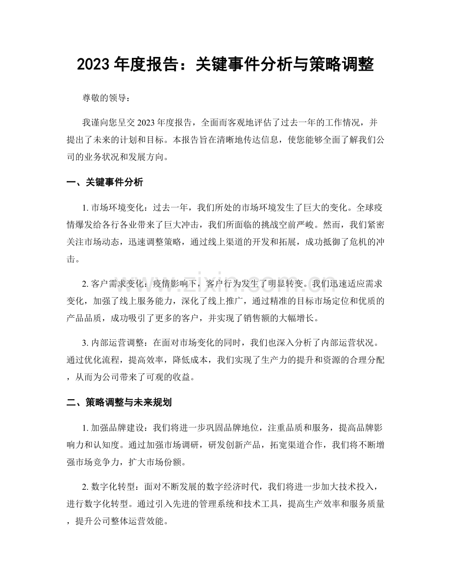 2023年度报告：关键事件分析与策略调整.docx_第1页