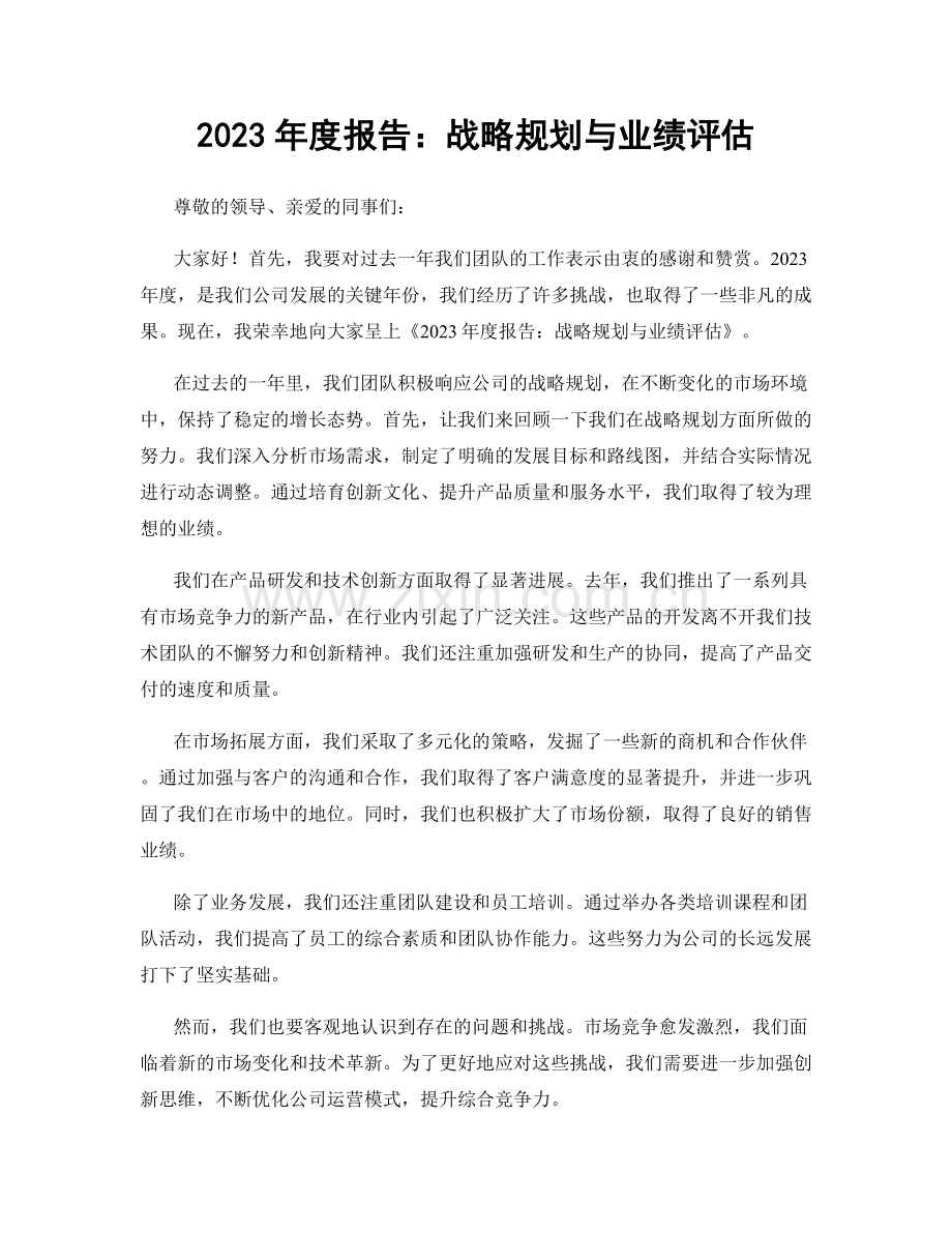 2023年度报告：战略规划与业绩评估.docx_第1页