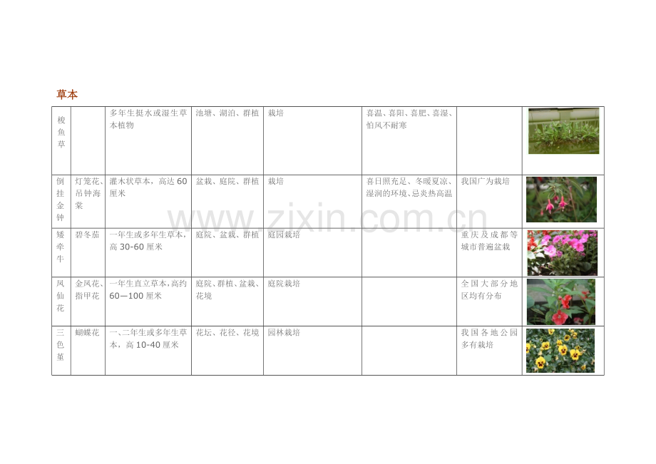 园林常用花卉植物.docx_第1页