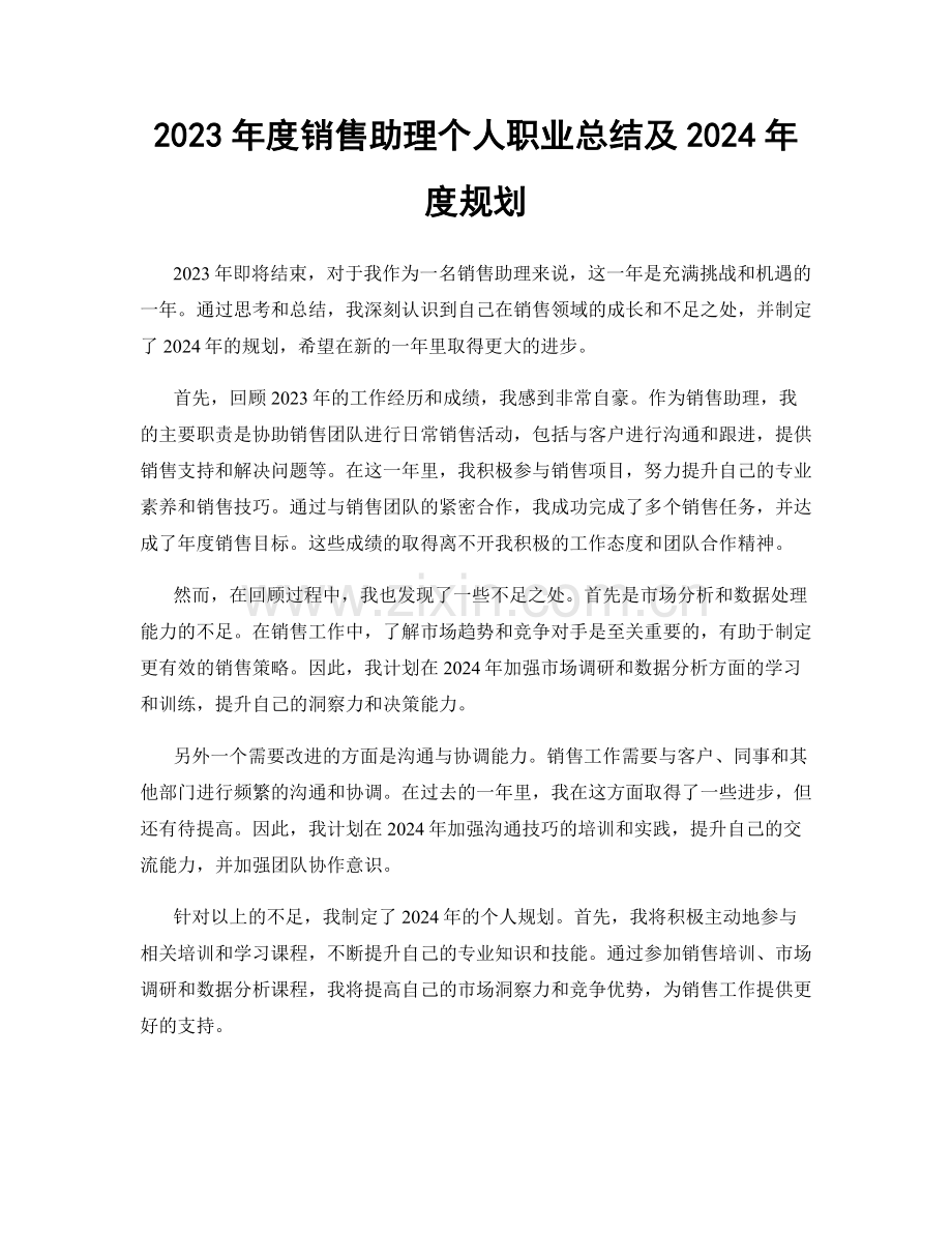 2023年度销售助理个人职业总结及2024年度规划.docx_第1页