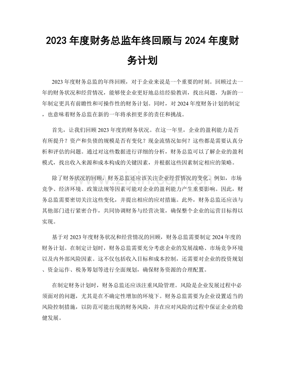 2023年度财务总监年终回顾与2024年度财务计划.docx_第1页