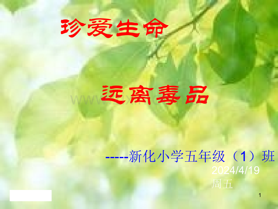 五1班孙本林禁毒教育.pptx_第1页