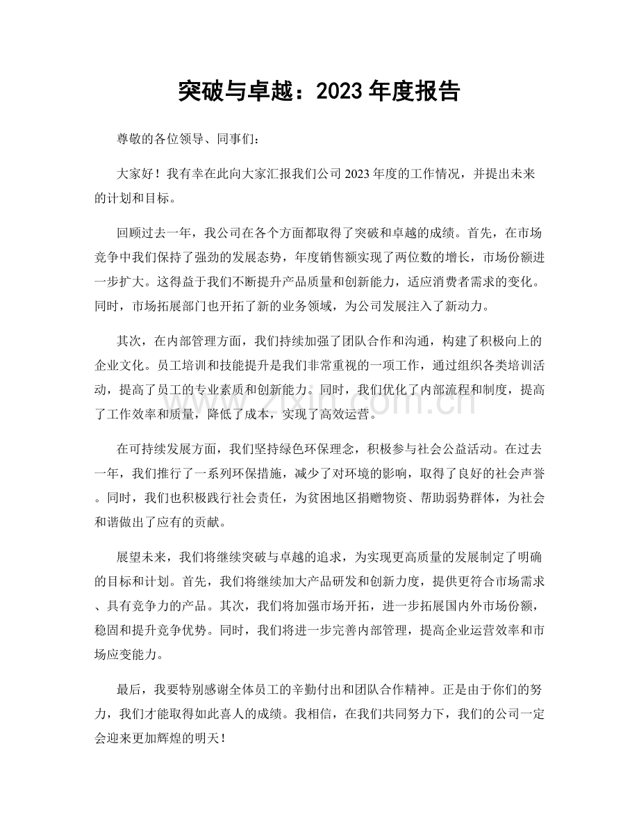 突破与卓越：2023年度报告.docx_第1页