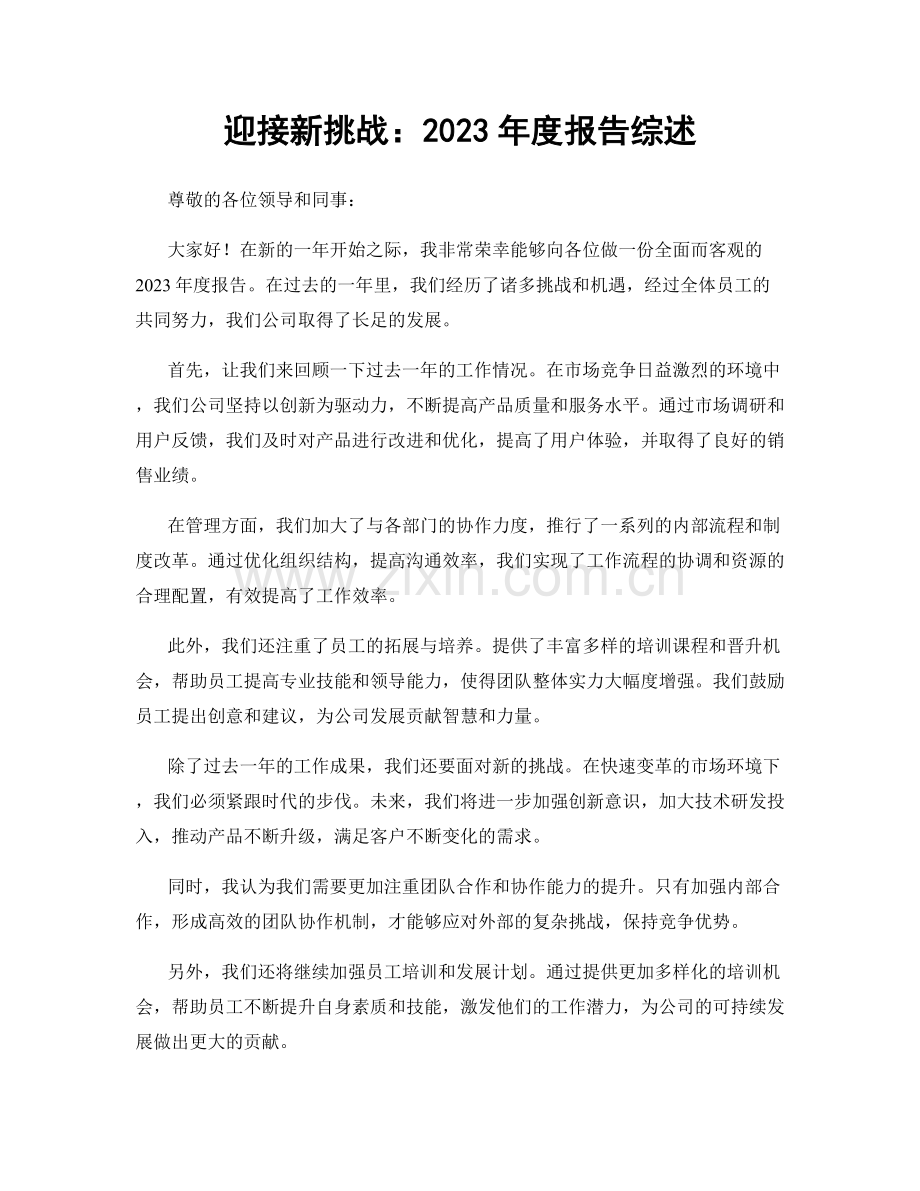 迎接新挑战：2023年度报告综述.docx_第1页