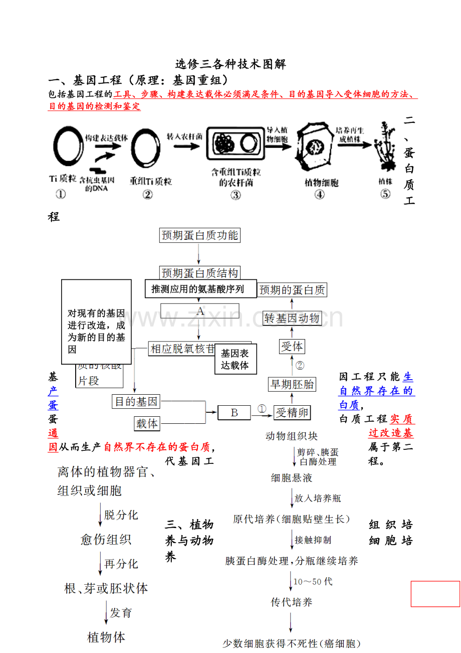 高中生物选修三技术图解.doc_第1页