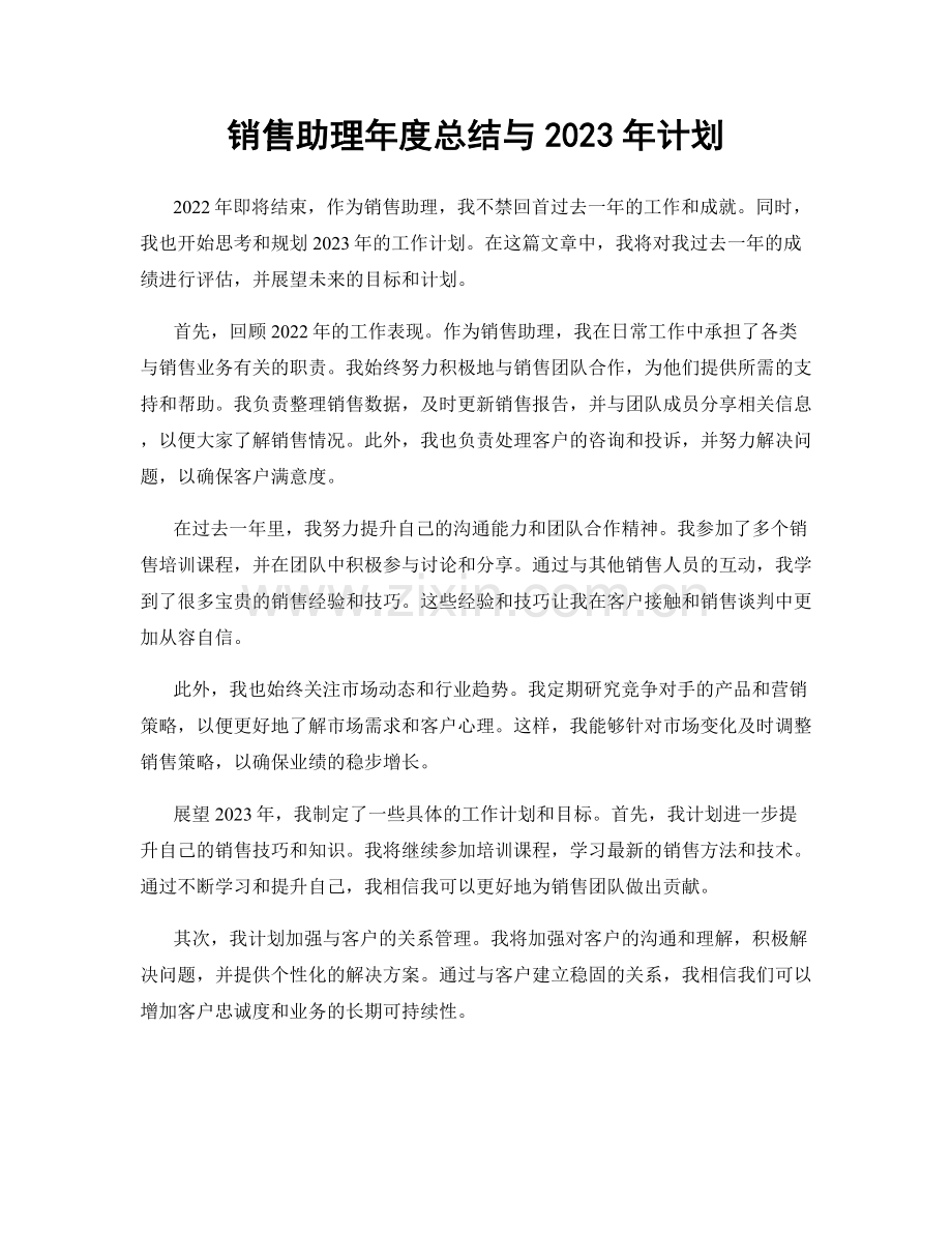 销售助理年度总结与2023年计划.docx_第1页