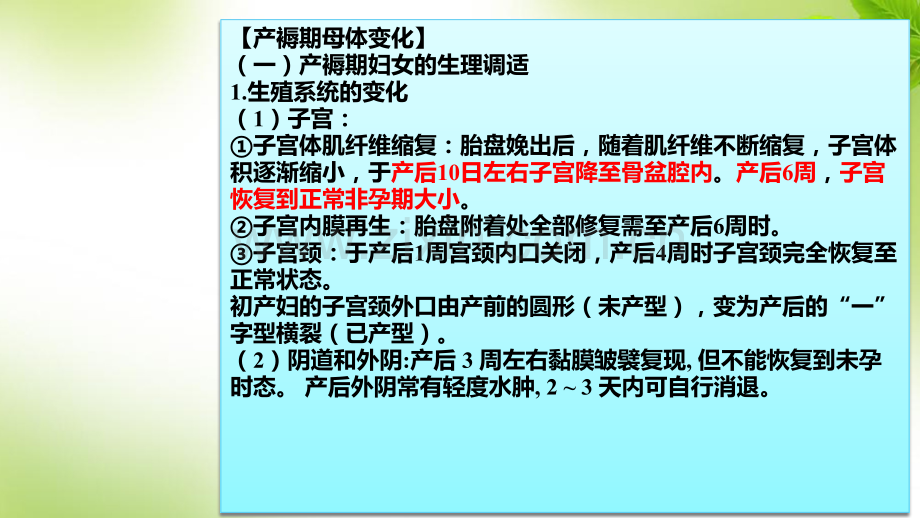 产褥期妇女的护理要点及习题讲解.ppt_第2页