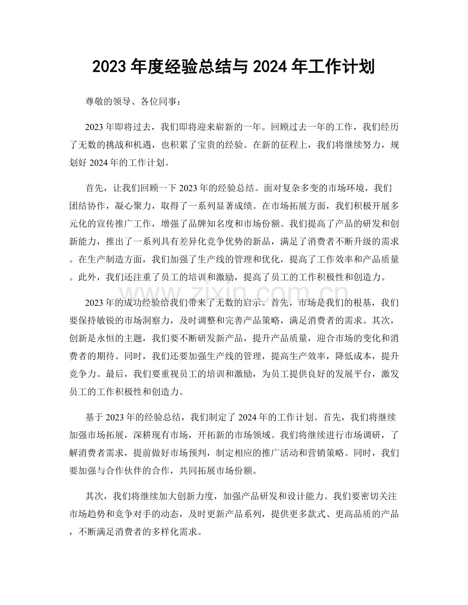 2023年度经验总结与2024年工作计划.docx_第1页