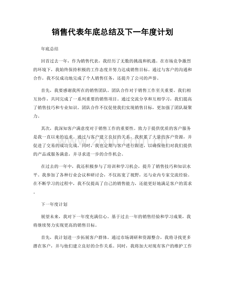 销售代表年底总结及下一年度计划.docx_第1页