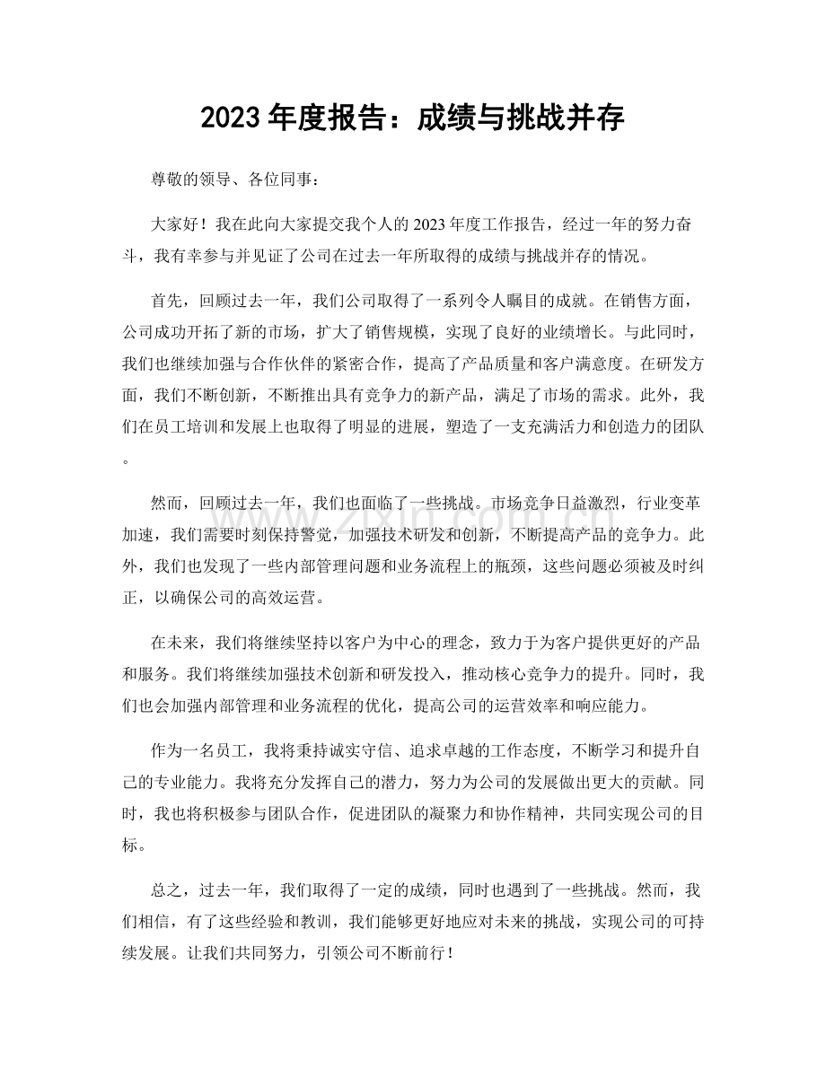 2023年度报告：成绩与挑战并存.docx_第1页