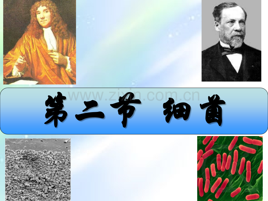 人教版八年级生物上册第四章第二节细菌-PPT.ppt_第2页