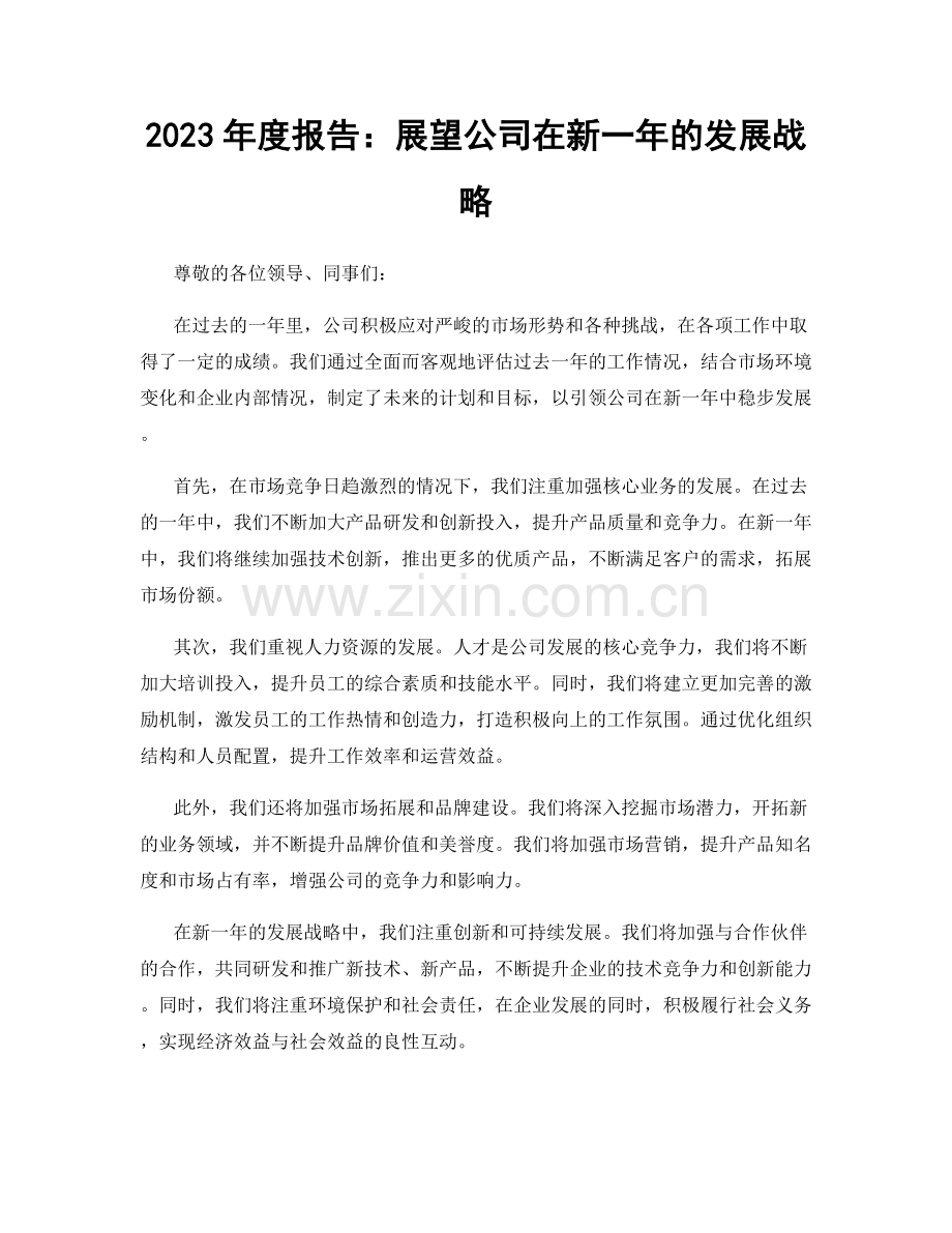 2023年度报告：展望公司在新一年的发展战略.docx_第1页