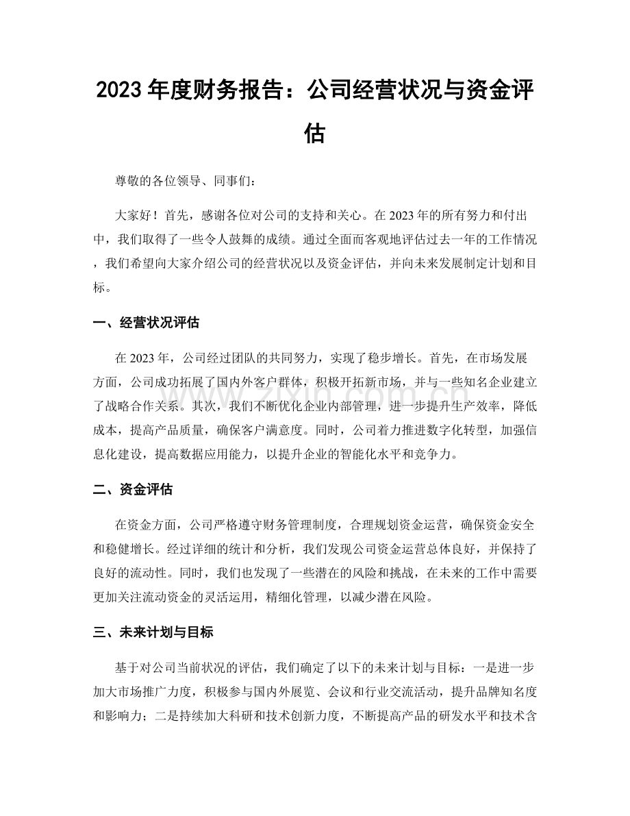 2023年度财务报告：公司经营状况与资金评估.docx_第1页