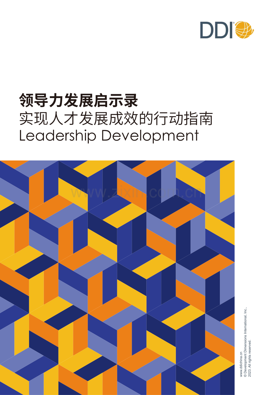 领导力发展启示录：实现人才发展成效的行动指南.pdf_第1页