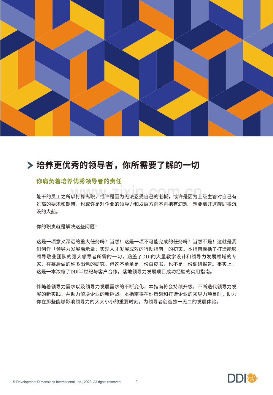 领导力发展启示录：实现人才发展成效的行动指南.pdf_第2页