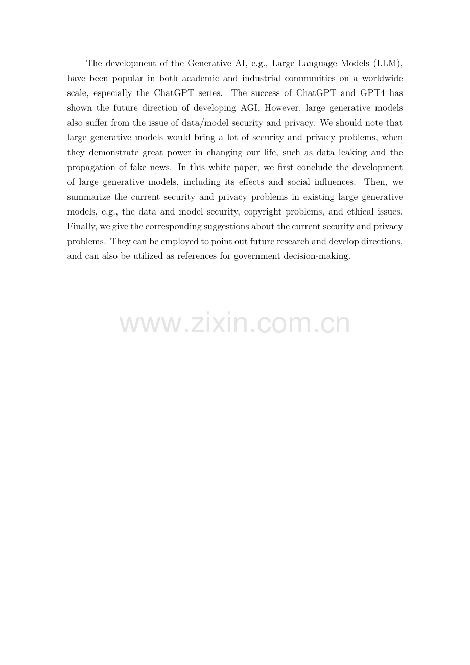 生成式大模型安全与隐私白皮书.pdf_第2页