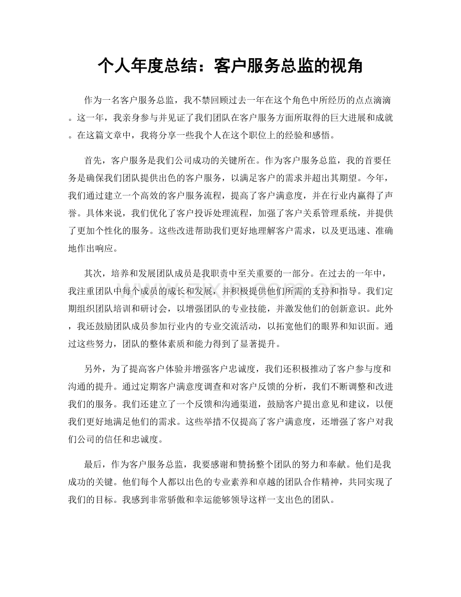 个人年度总结：客户服务总监的视角.docx_第1页