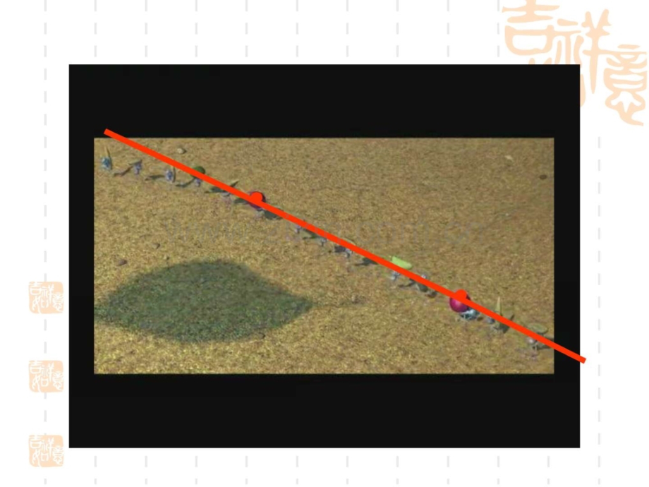 最基本的图形点和线华师版.pptx_第1页