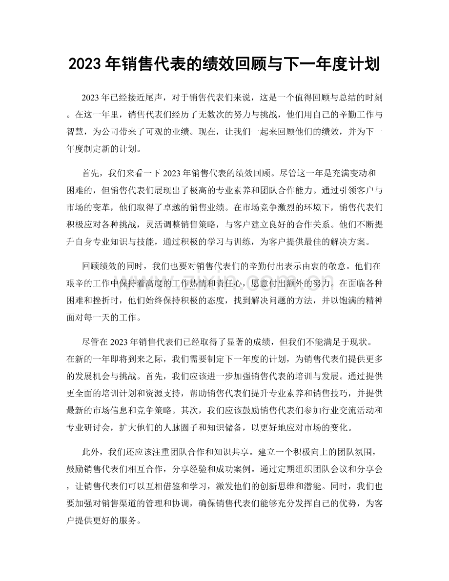 2023年销售代表的绩效回顾与下一年度计划.docx_第1页