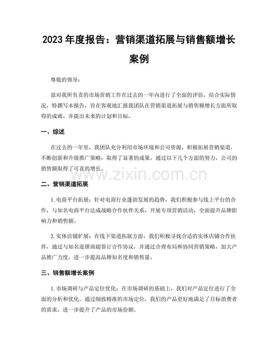 2023年度报告：营销渠道拓展与销售额增长案例.docx_第1页