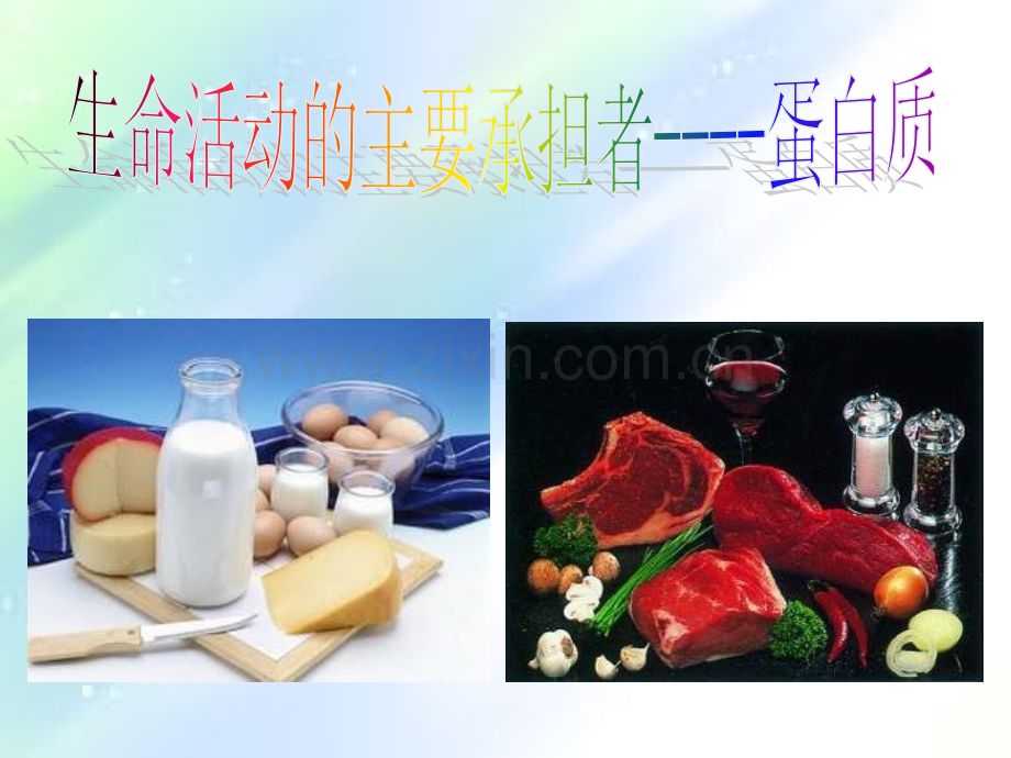 高一生物蛋白质课件.ppt_第1页