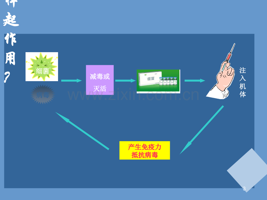 预防接种宣传.ppt_第3页