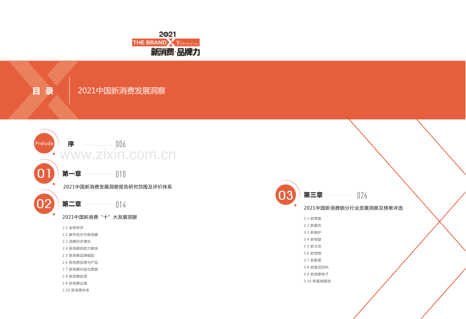 消费行业2021中国新消费发展洞察：暨品牌力榜单.pdf_第3页