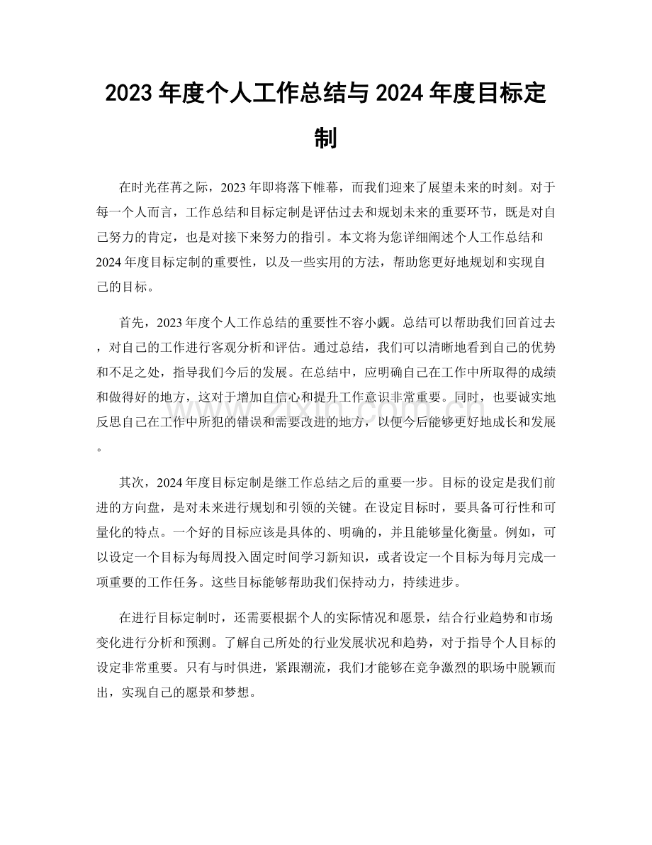 2023年度个人工作总结与2024年度目标定制.docx_第1页