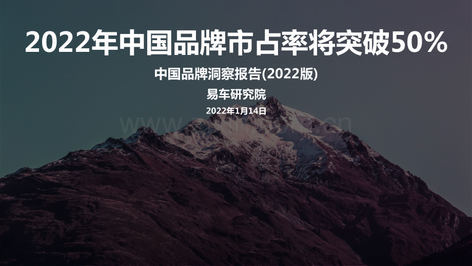 2022年中国品牌洞察报告.pdf_第1页