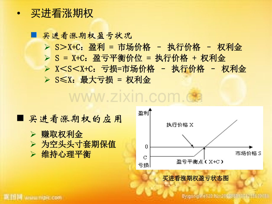 期权投资策略.ppt_第1页