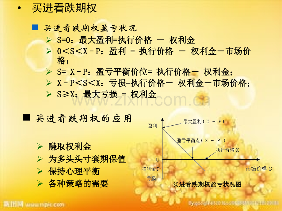 期权投资策略.ppt_第3页