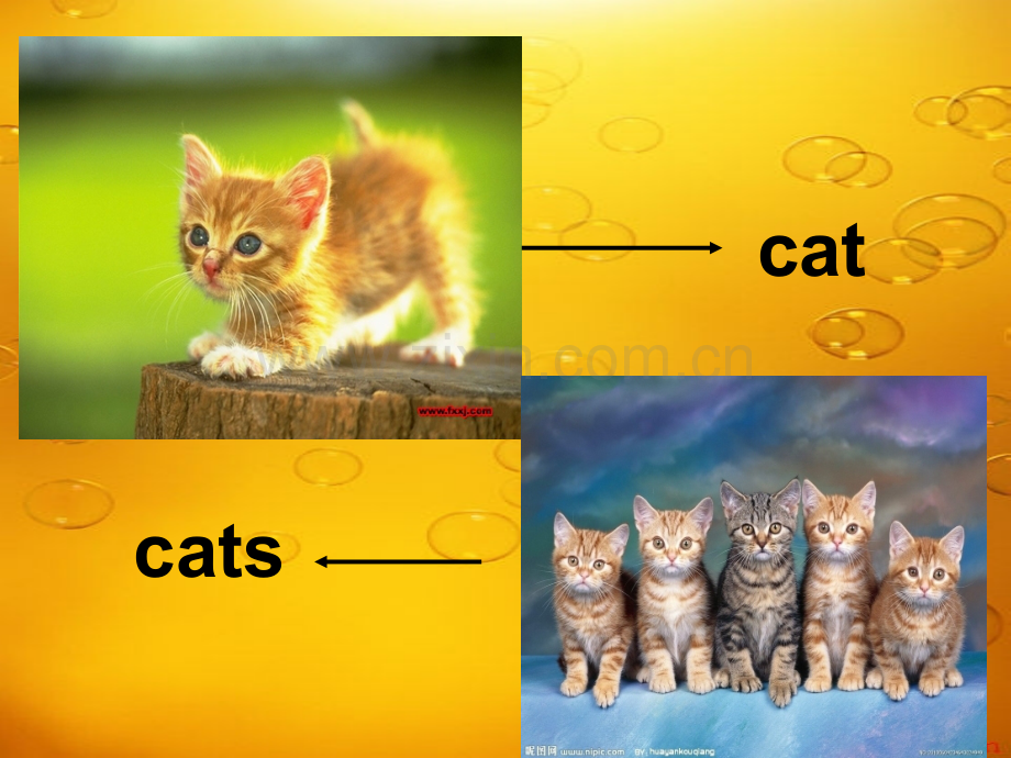 新版冀教版小学英语三年级下册lesson2-cats-and-dogs-课件.ppt_第2页