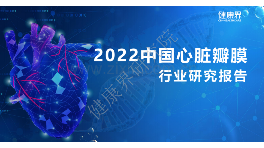 2022年中国心脏瓣膜行业研究报告.pdf_第1页