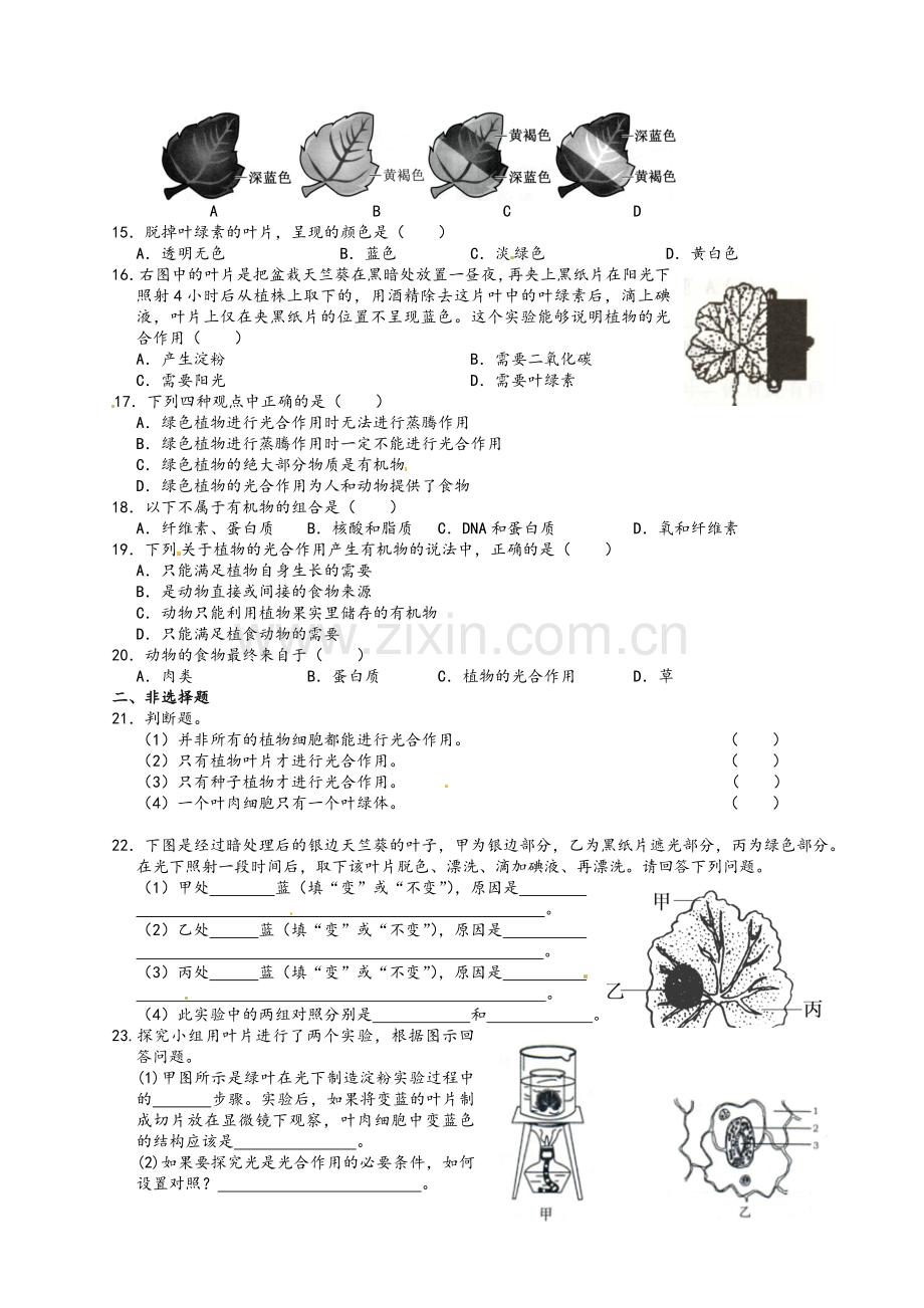 第四章-绿色植物是生物圈中有机物的制造者练习题.doc_第2页