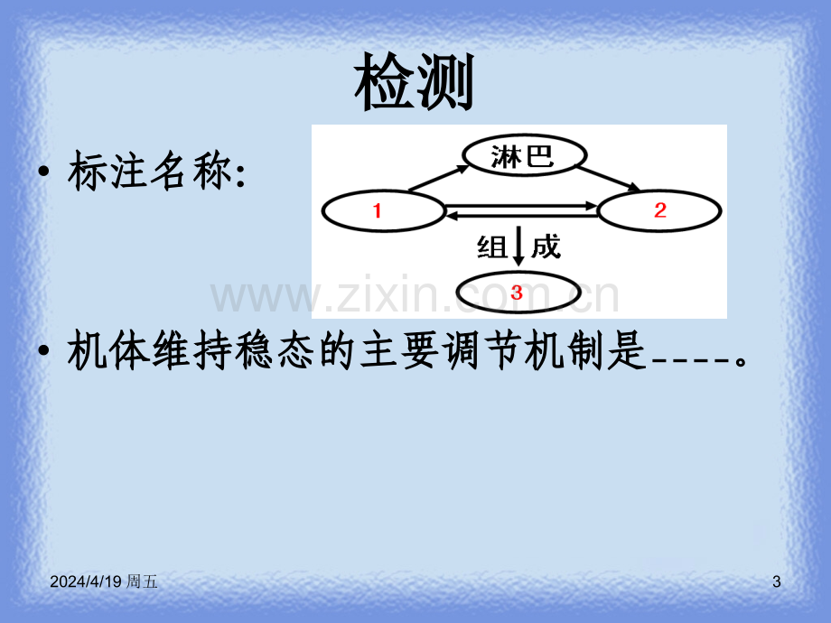 221he2神经系统的结构与功能.pptx_第3页