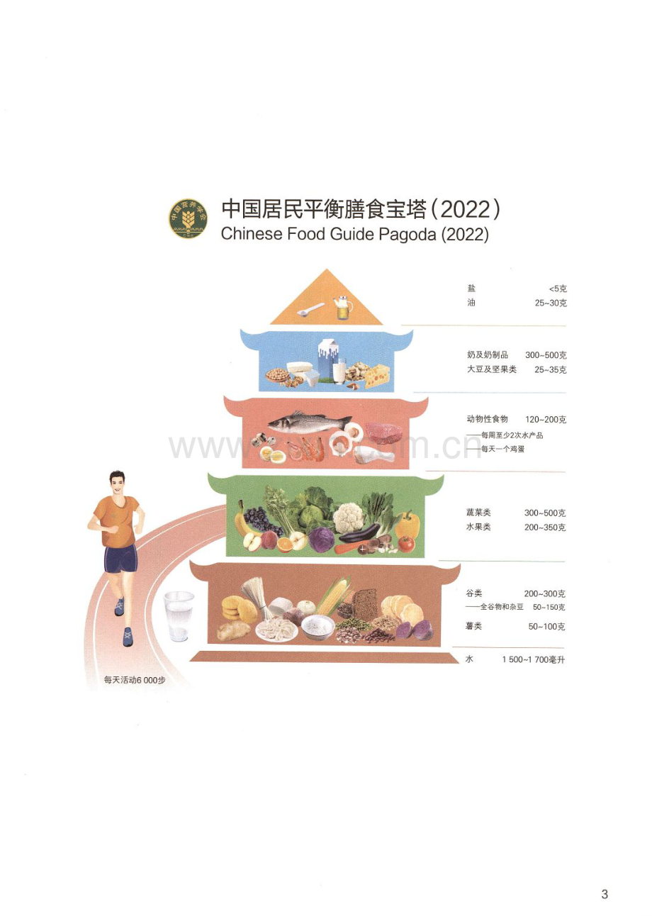 2022年中国居民膳食指南.pdf_第3页