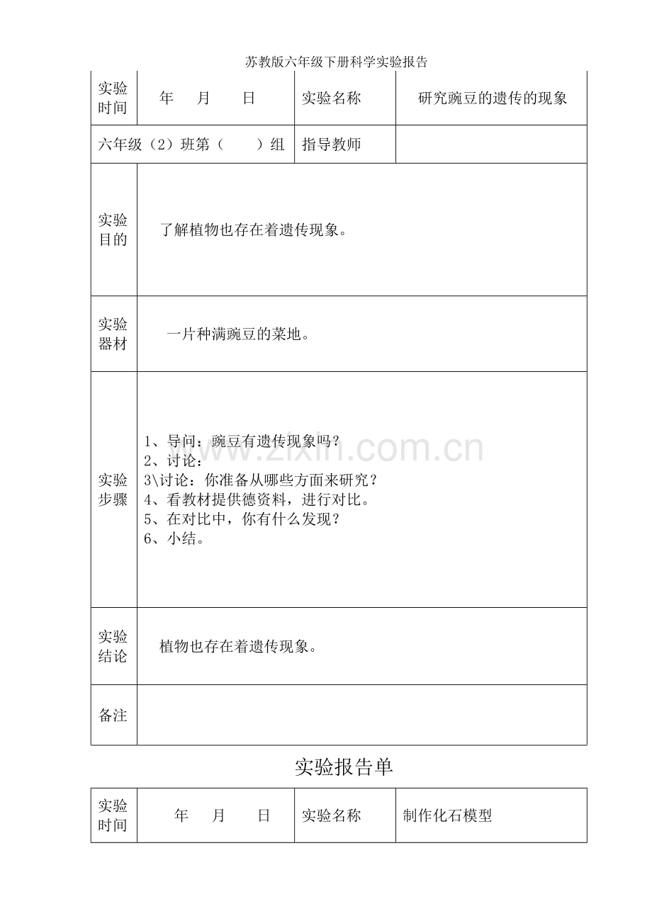 苏教版六年级下册科学实验报告.doc_第2页