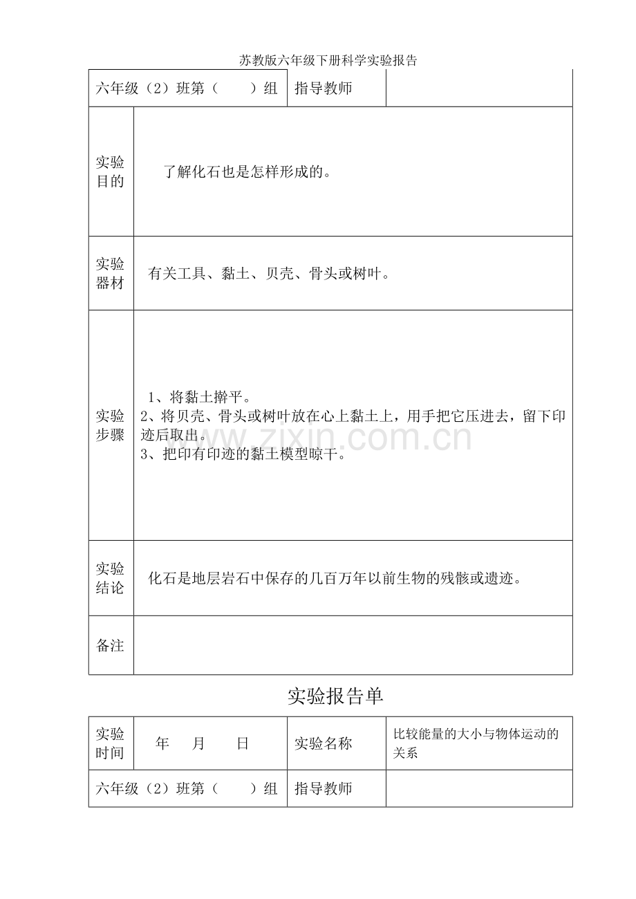 苏教版六年级下册科学实验报告.doc_第3页